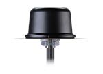 Taoglas Colosseum MA850 5-in-1 Permanent-Mount Antennas
