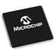 Microchip Technology PIC32MZ2064DAS176-V/2J